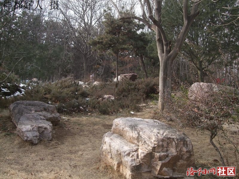 DSCF4031.JPG