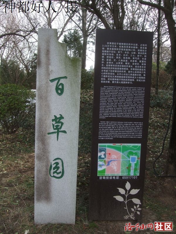 DSCF4032.JPG