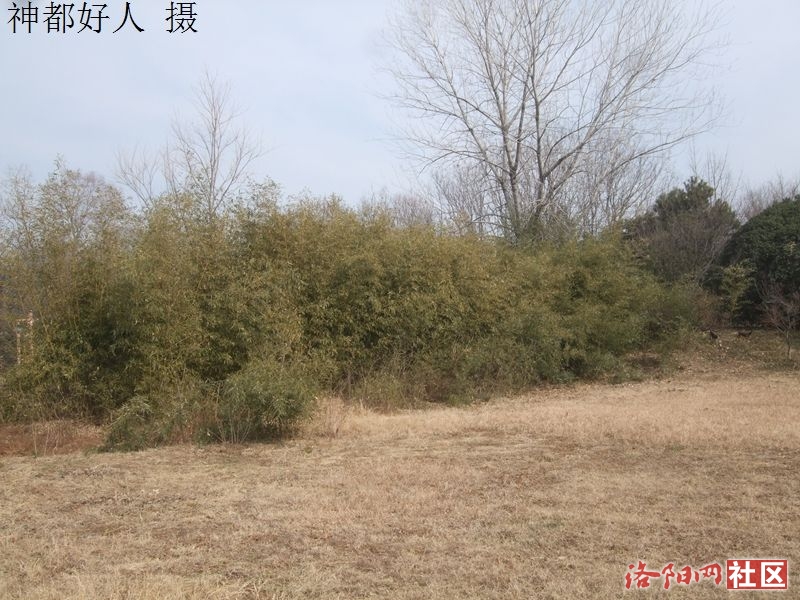 DSCF4033.JPG