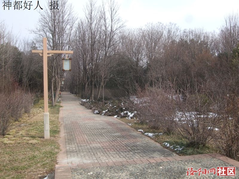 DSCF4037.JPG