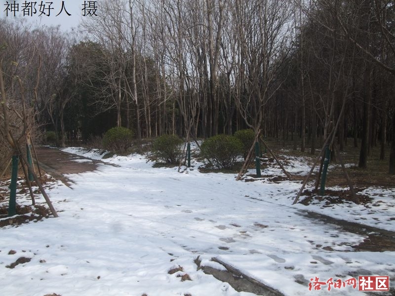 DSCF4038.JPG