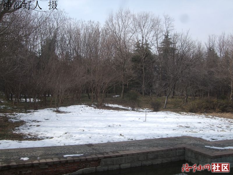 DSCF4039.JPG