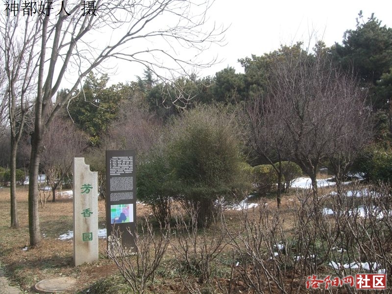 DSCF4040.JPG