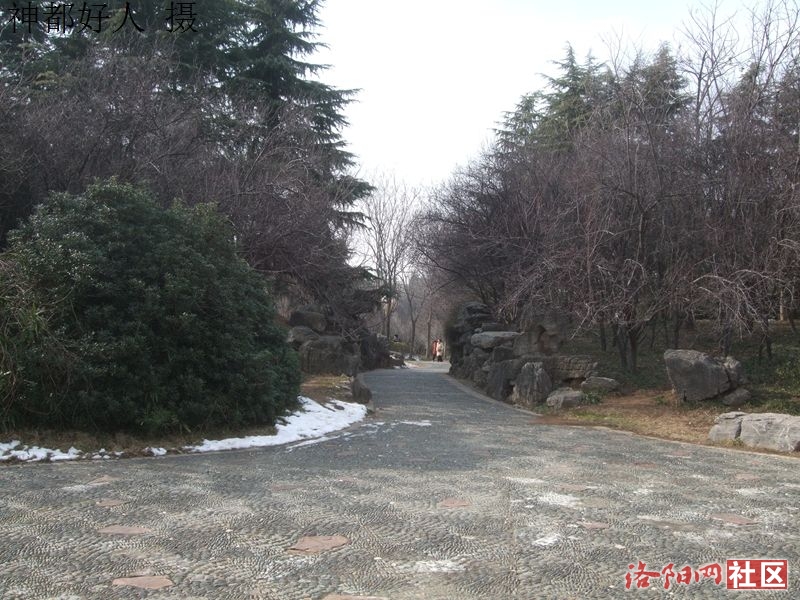 DSCF4045.JPG