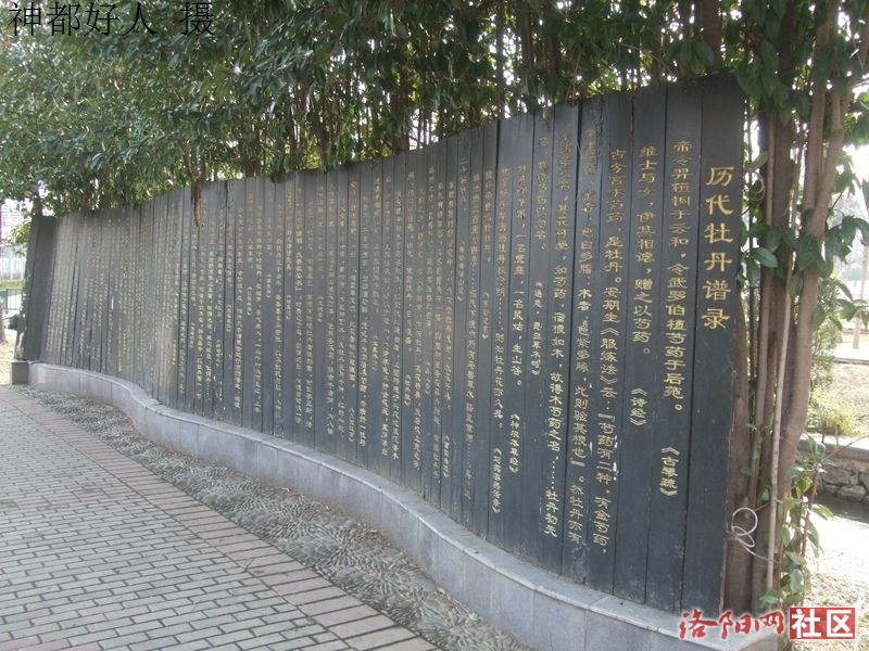 DSCF4061.JPG