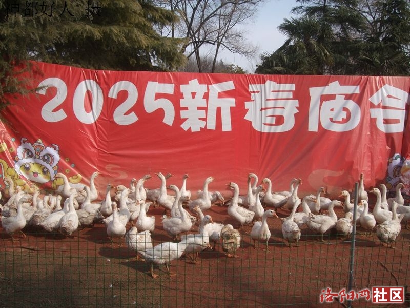 DSCF4062.JPG