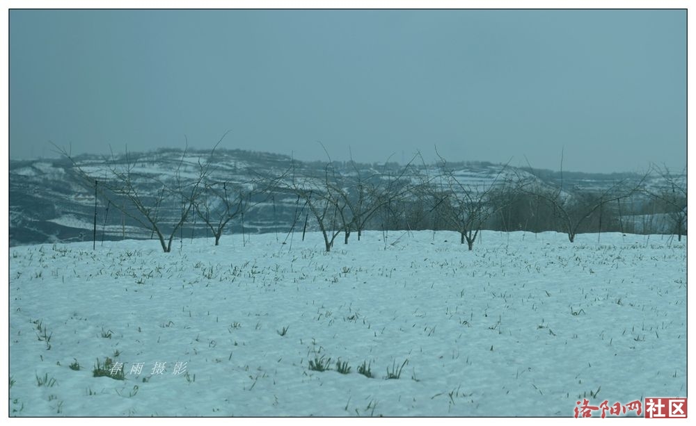 DSC_7931_.jpg