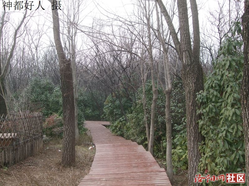DSCF4016.JPG