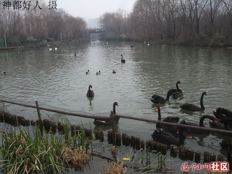 DSCF4017.JPG