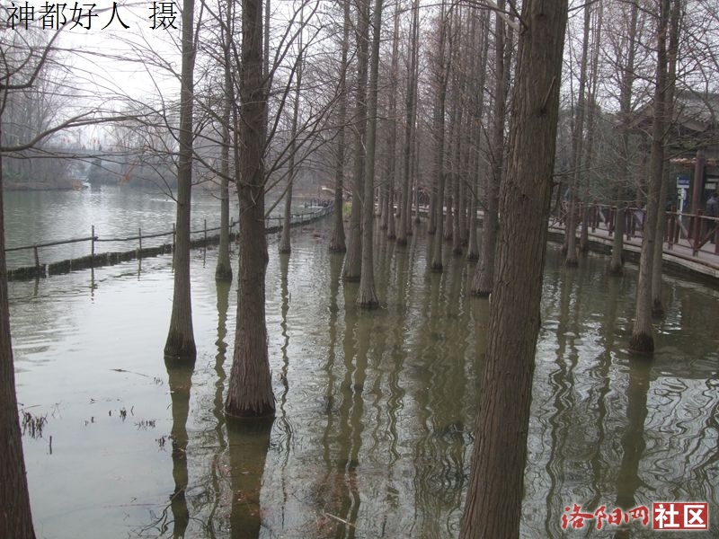DSCF4020.JPG