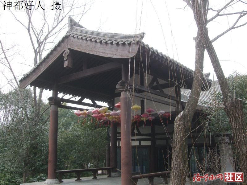 DSCF4022.JPG