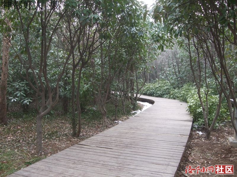 DSCF4026.JPG