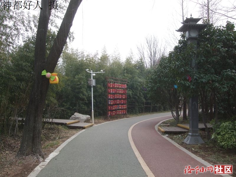 DSCF4025.JPG