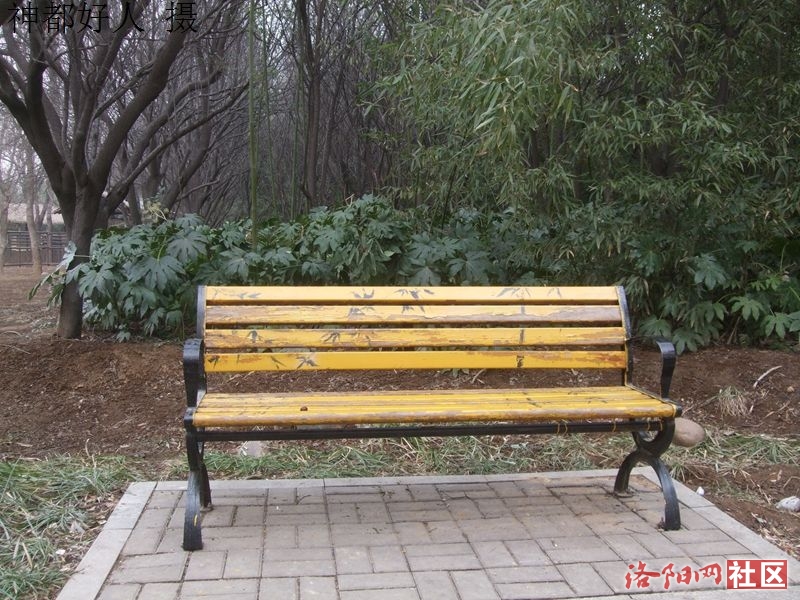 DSCF4029.JPG