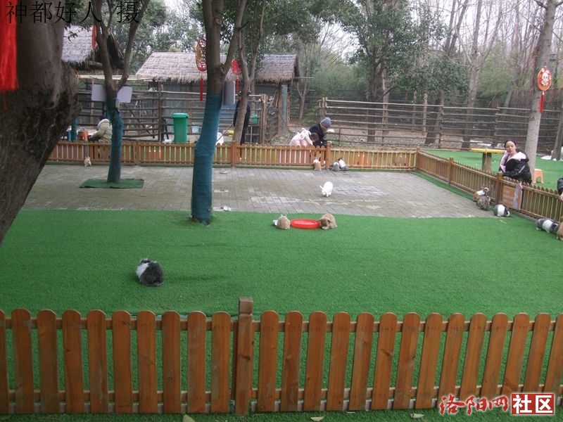 DSCF4033.JPG