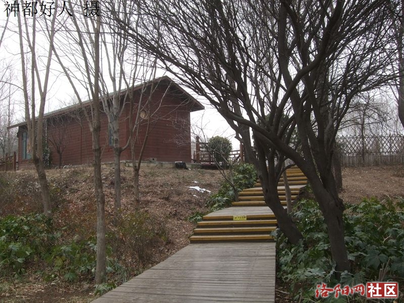 DSCF4034.JPG