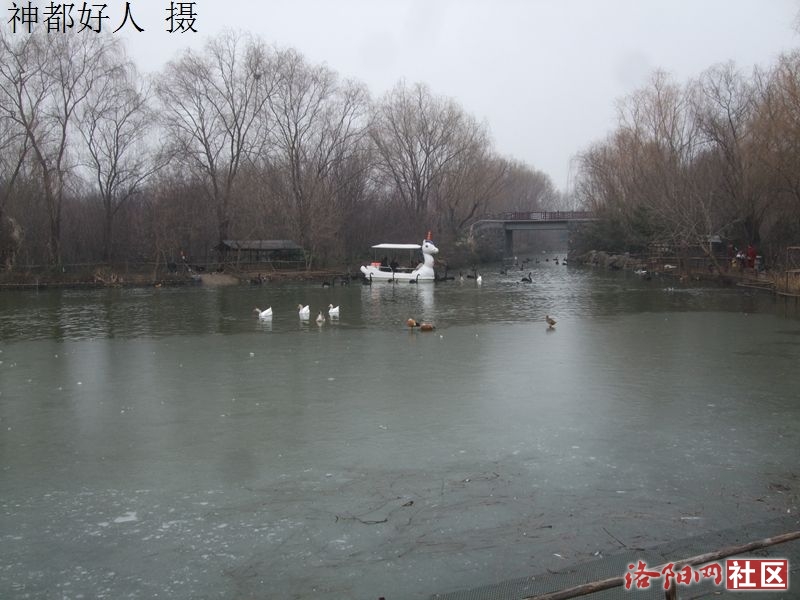DSCF4035.JPG