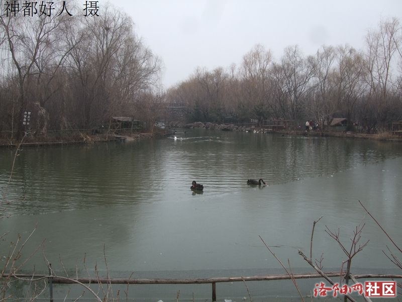 DSCF4038.JPG