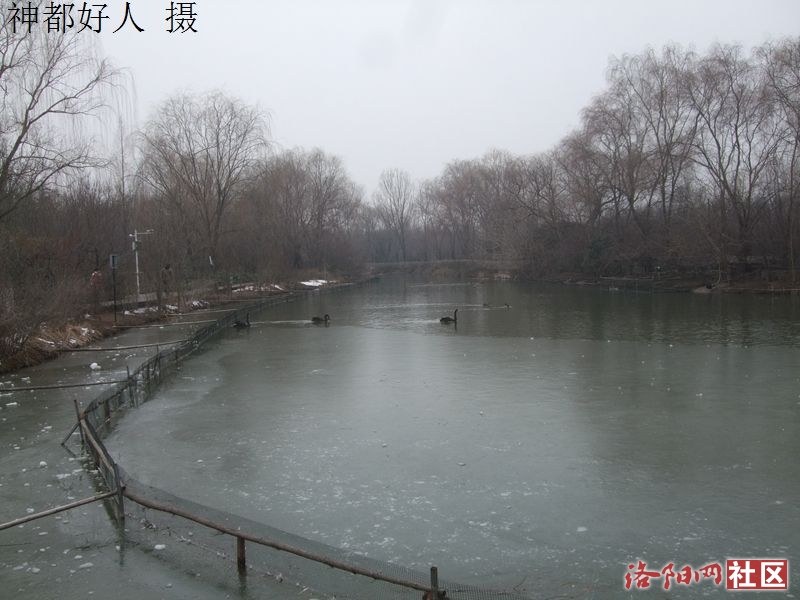 DSCF4036.JPG