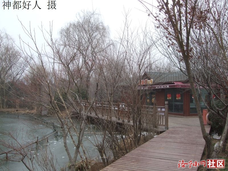 DSCF4039.JPG