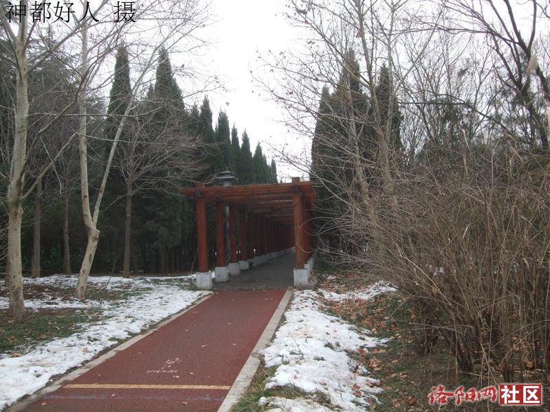DSCF4048.JPG