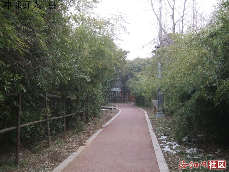 DSCF4054.JPG
