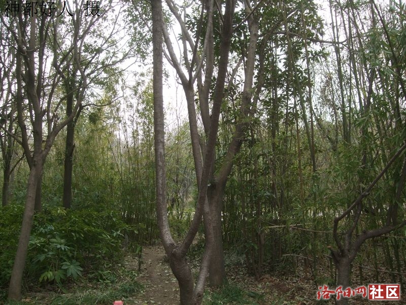 DSCF4056.JPG