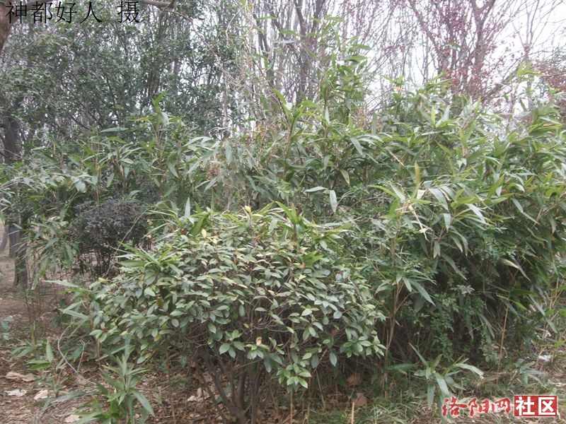 DSCF4057.JPG