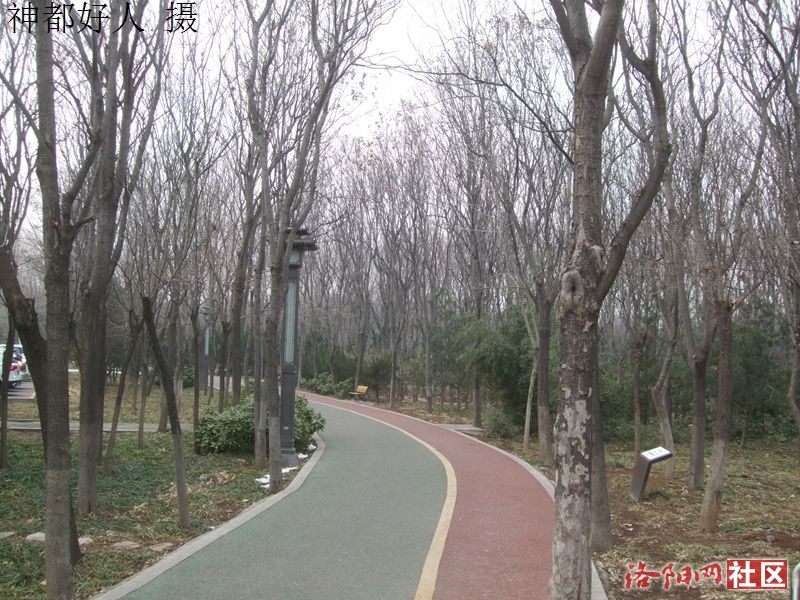 DSCF4066.JPG