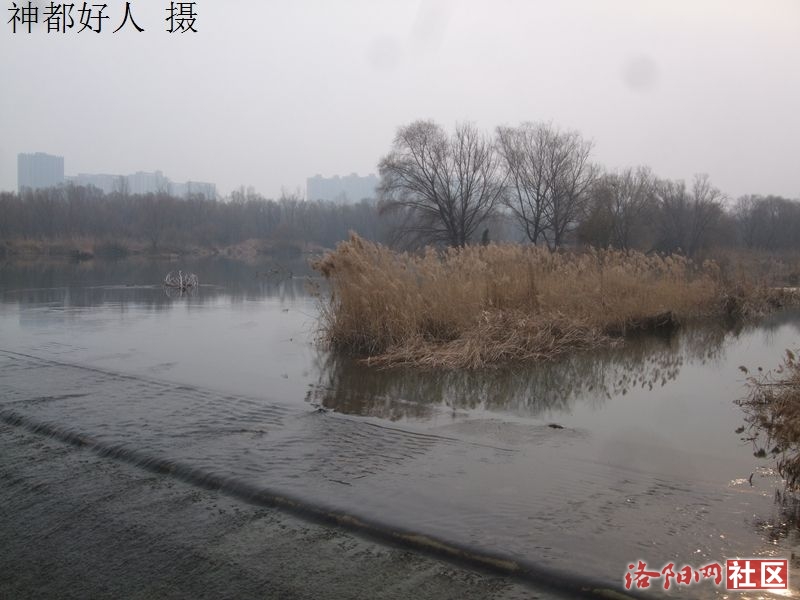 DSCF4067.JPG