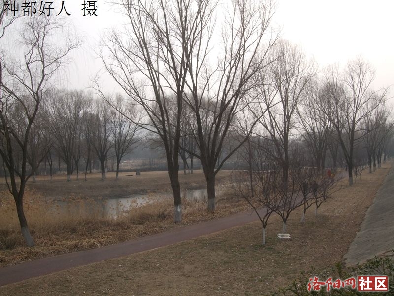 DSCF4075.JPG