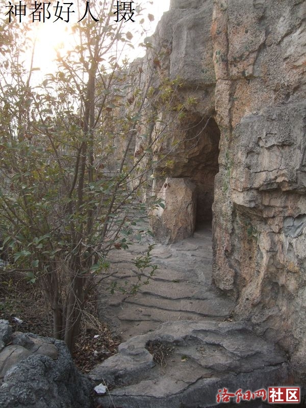 DSCF4113.JPG