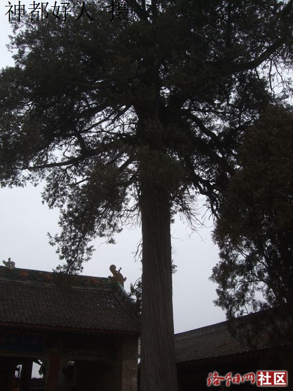 DSCF4014.JPG