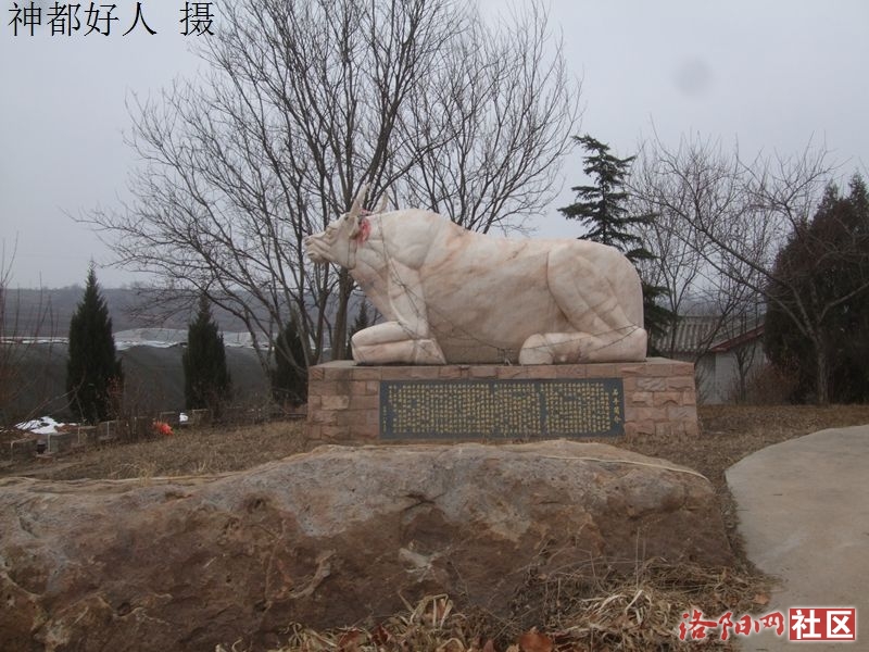 DSCF4032.JPG