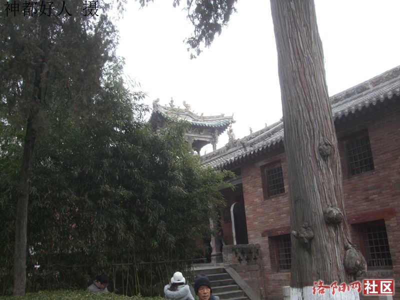 DSCF4049.JPG