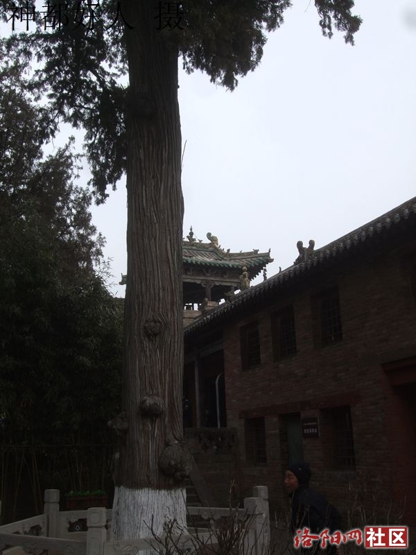 DSCF4093.JPG