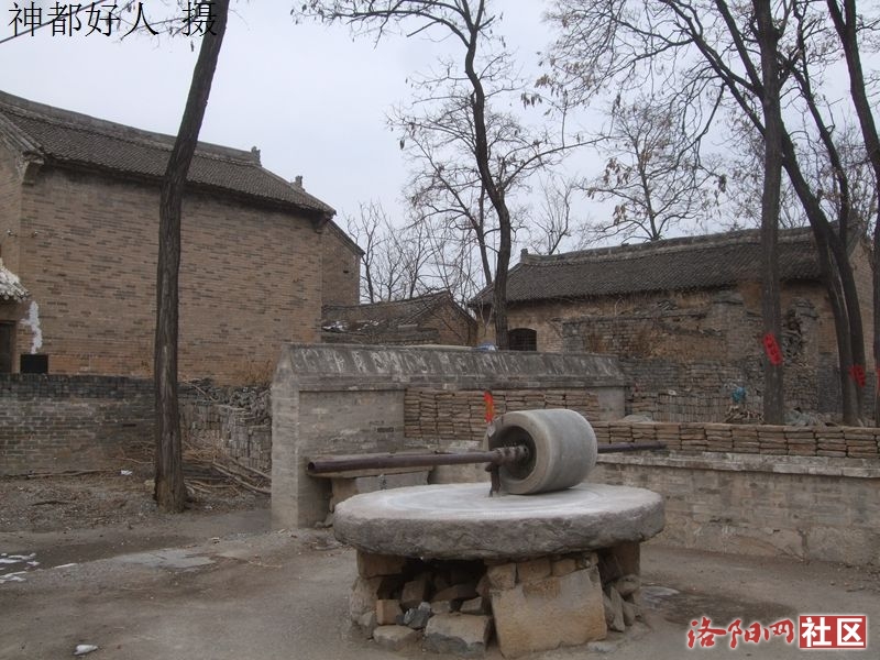 DSCF4137.JPG