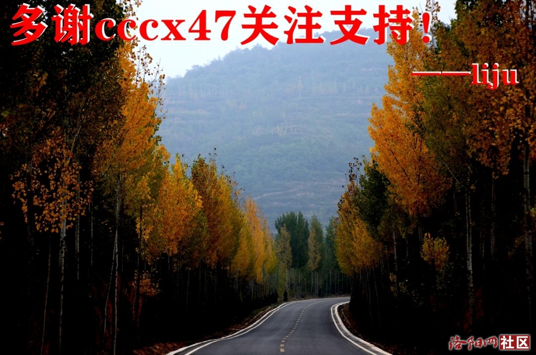 238cccx47.ɽ.jpg