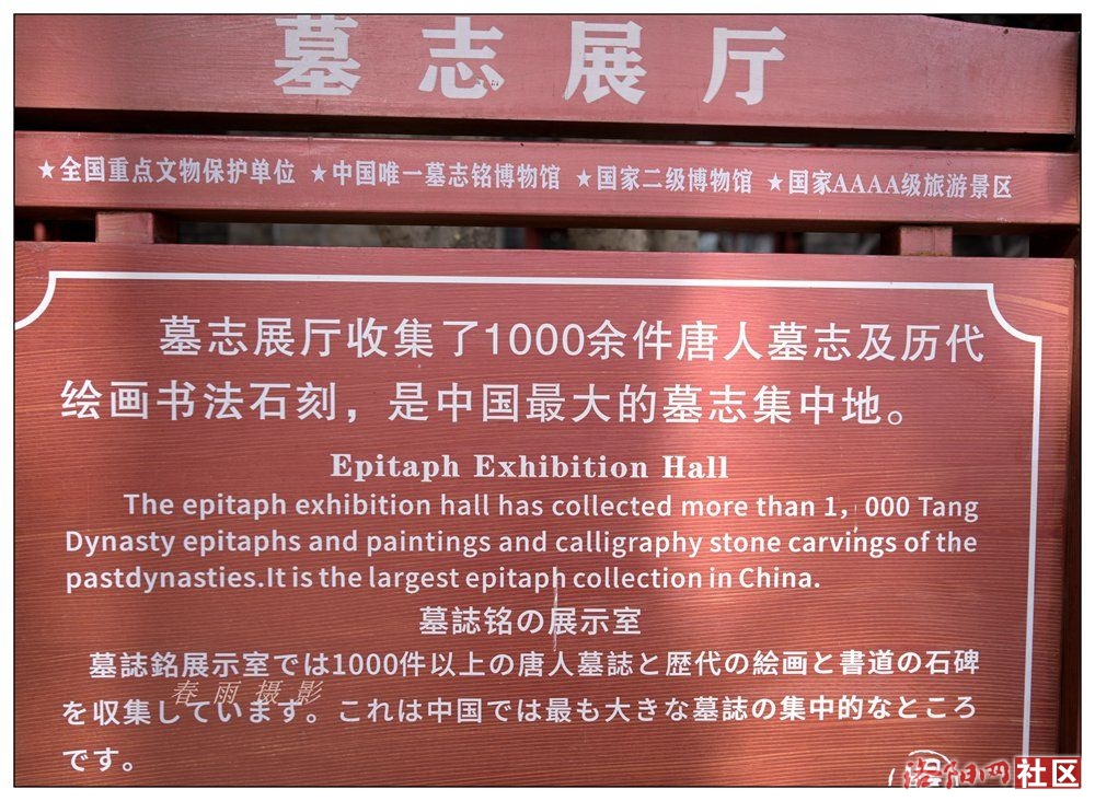 DSC_4187_.jpg