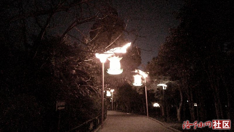 DSCF0032.JPG