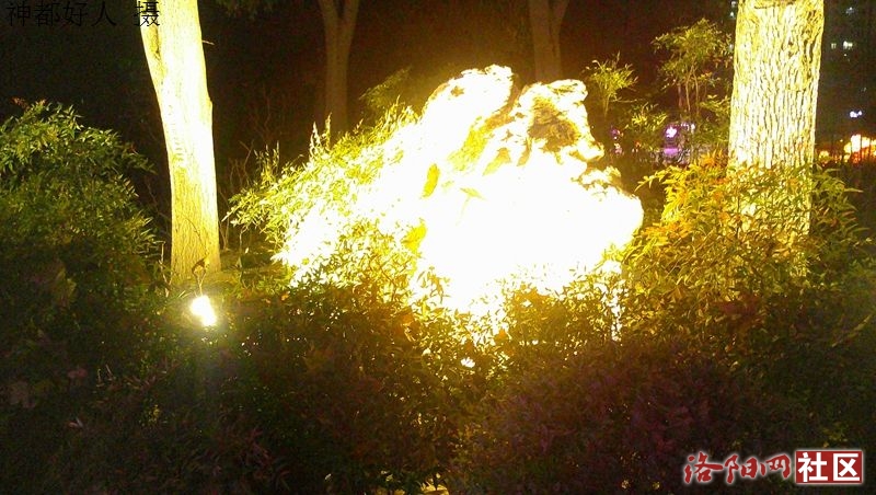 DSCF0036.JPG