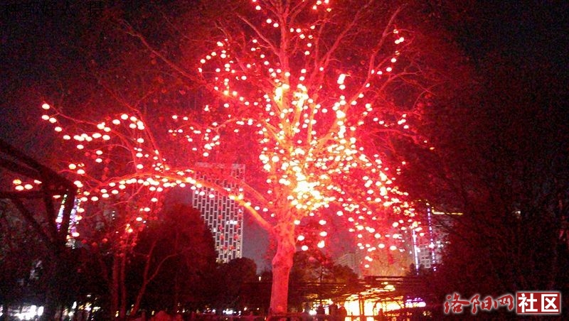 DSCF0037.JPG