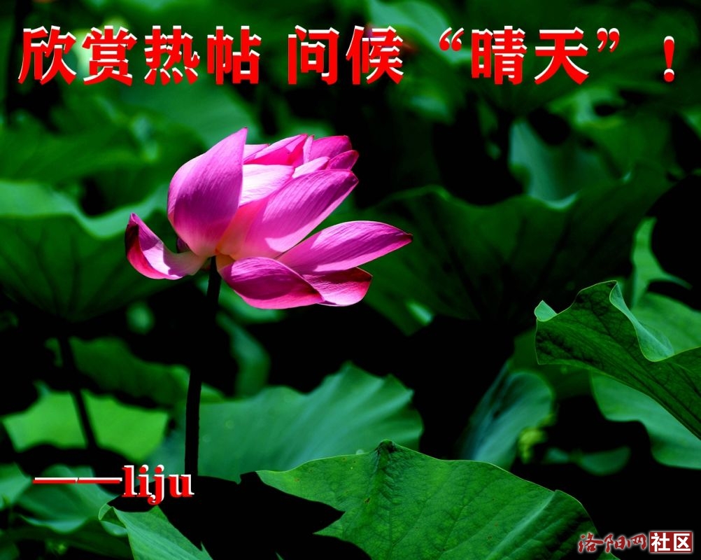 892025.2.3-2.9.jpg