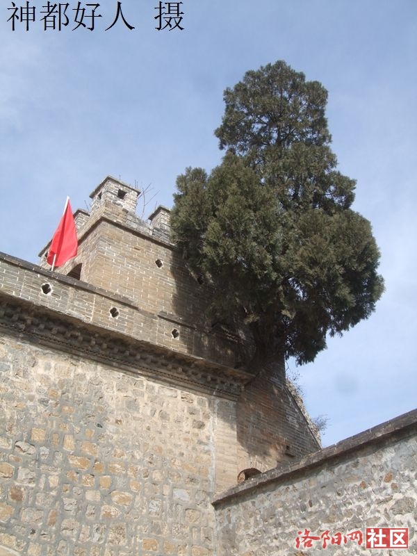 DSCF4125.JPG