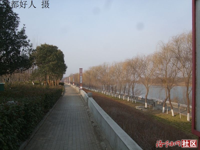 DSCF4003.JPG