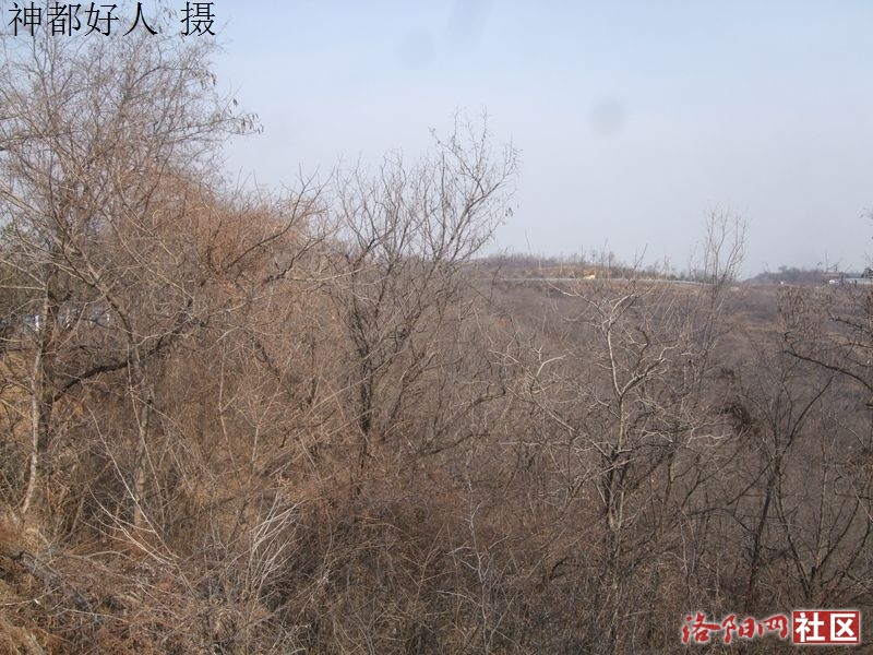DSCF4007.JPG