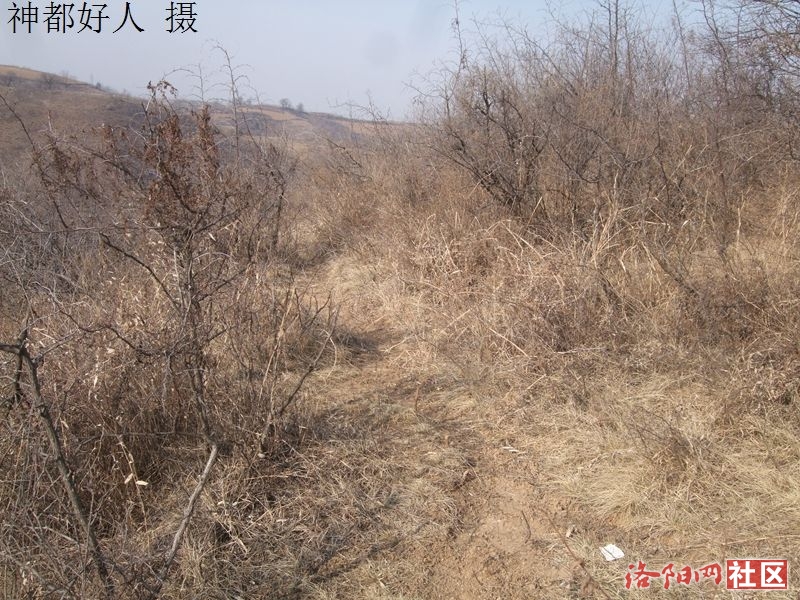 DSCF4010.JPG