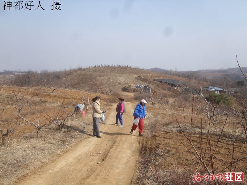 DSCF4014.JPG