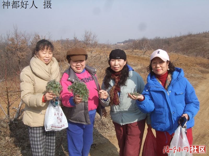 DSCF4018.JPG