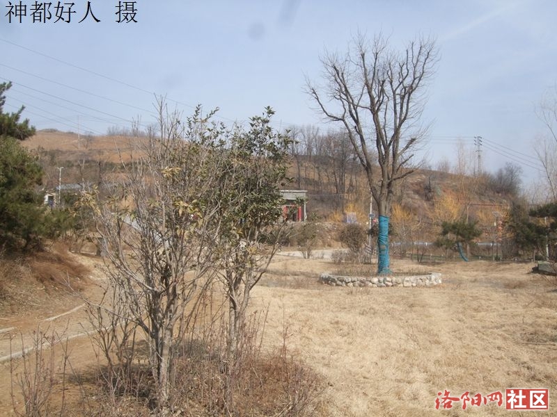 DSCF4069.JPG